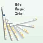 One Step Dipstick Urine Test Strip  Clinical Urine test strip